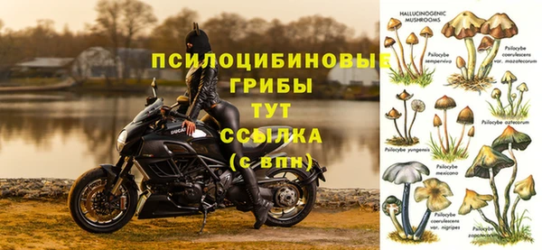 крисы Нефтегорск
