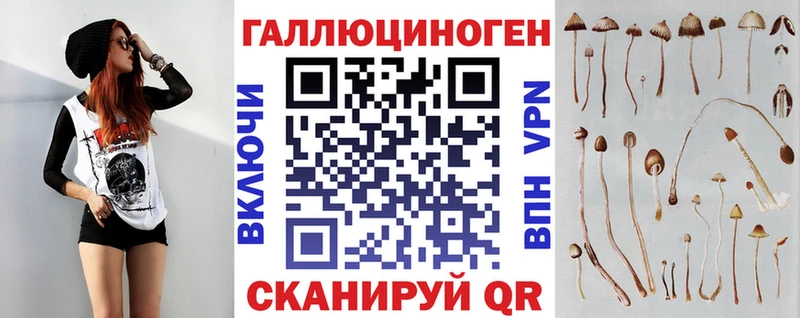 mega tor купить наркоту Красково Псилоцибиновые грибы Psilocybine cubensis